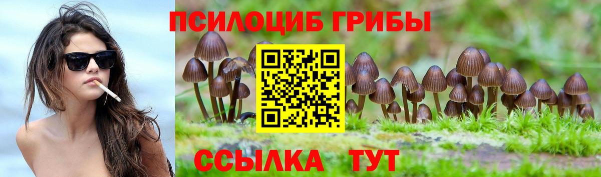 Альметьевск  Галлюциногенные грибы Cubensis  Вход с VPN 
